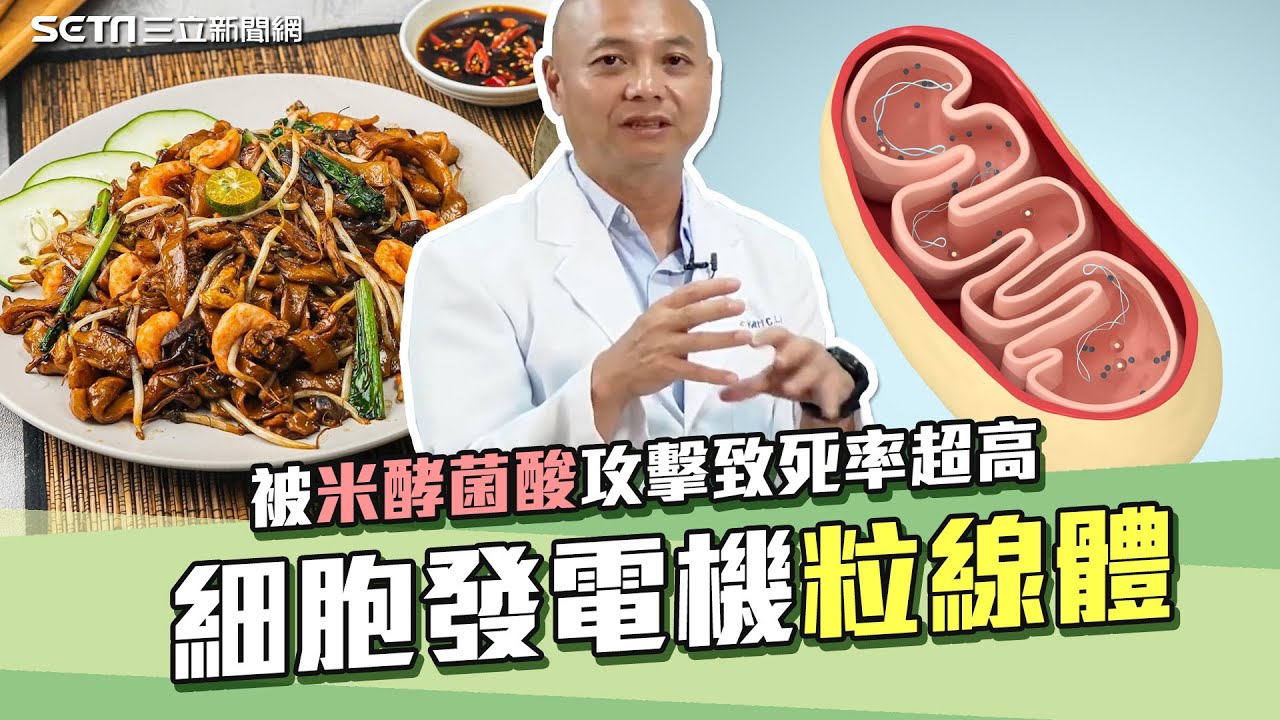 #米酵菌酸 攻擊 #粒線體 慘了？專家揭細胞發電機”粒線體”最害怕10件事！95％癌症竟受它影響？｜奕起聊健康｜祝你健康
