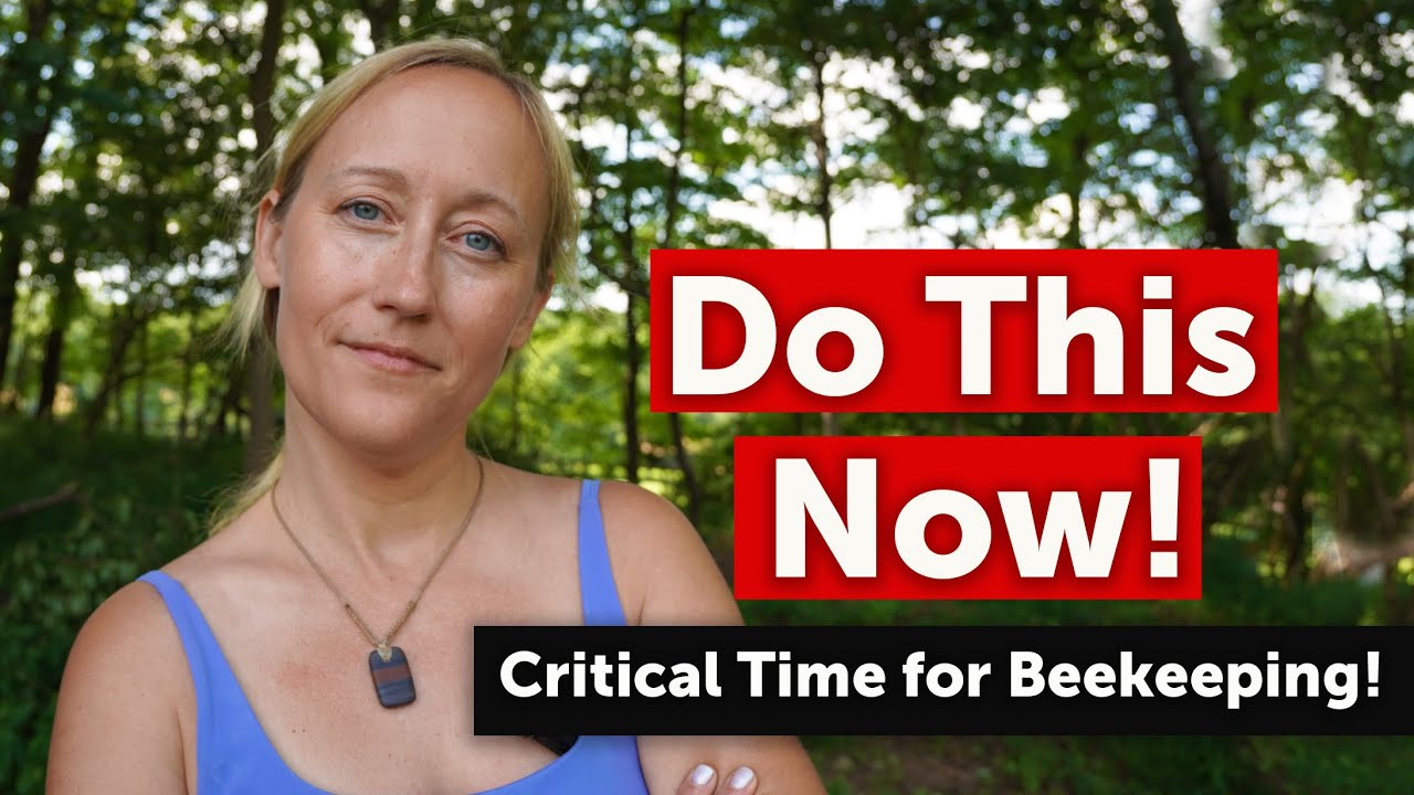 TREATING FOR VARROA MITES IN LATE SUMMER - Best Treatment Options, Why & When to do It