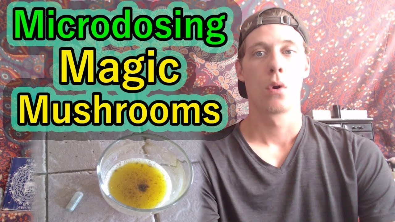 My Experience With Microdosing Magic Mushrooms (Benefits & Negatives)