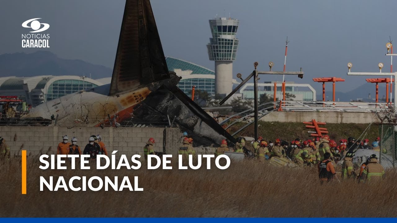 La hipótesis que explicaría la causa del accidente aéreo en Corea del Sur que dejó 179 muertos