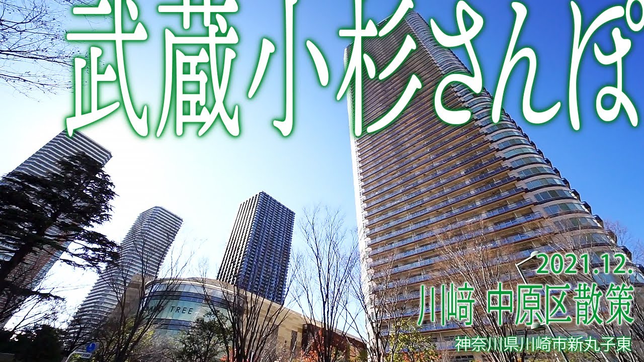 川﨑 中原区散策【武蔵小杉さんぽ】2022.1.神奈川県川崎市