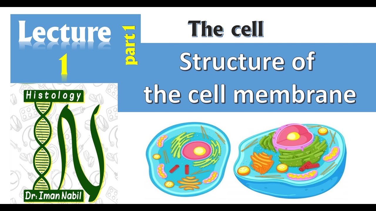 1a-Structure of cell membrane-Part1- Lipids and Proteins