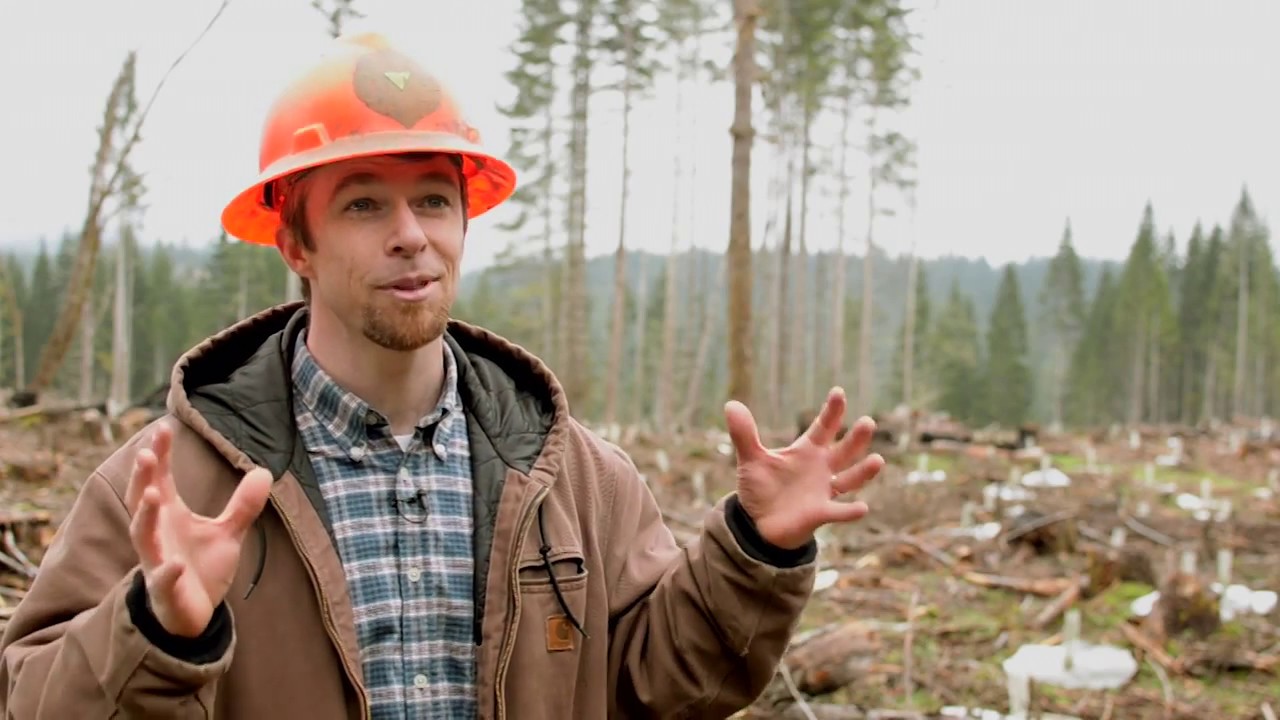 Forest Harvest Methods: Variable Retention Harvest