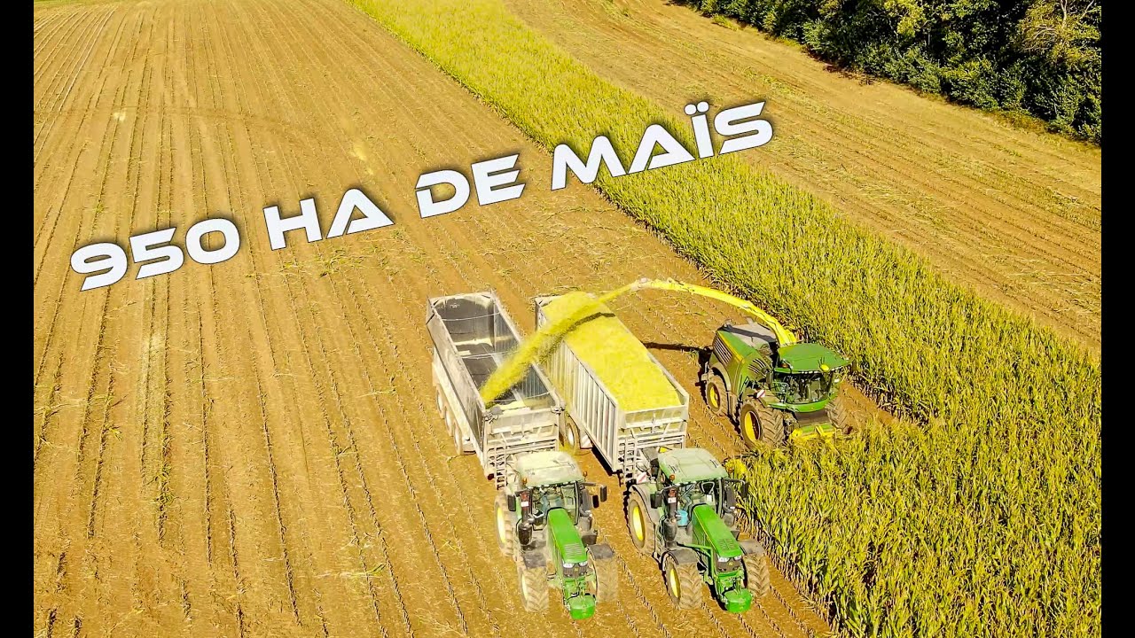 Ensilage 100% John Deere | 9700 i | 8 R 370 | 5 x 6250 R & Fliegl Taurus ASW 391