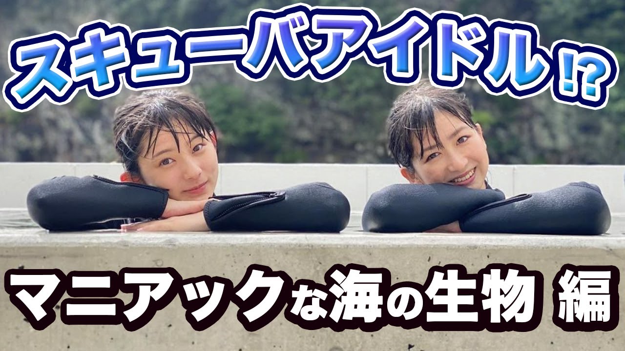 【R藤本】の知識が冴え渡る 海洋生物解説動画！？  美味しい手作りご飯を食べながらダイビング動画 観賞会 in 串本 ビスケッティ佐竹×ばってん少女隊【GuuGoo】