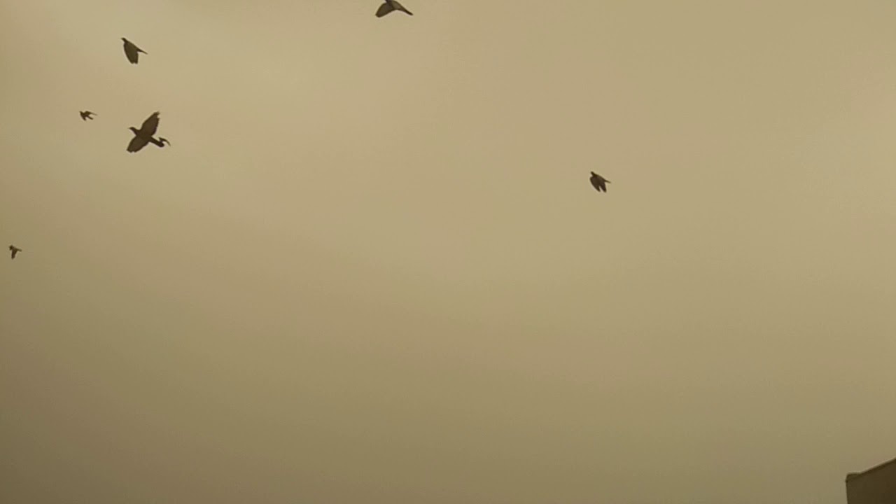 Dust Storm Jaipur Rajasthan