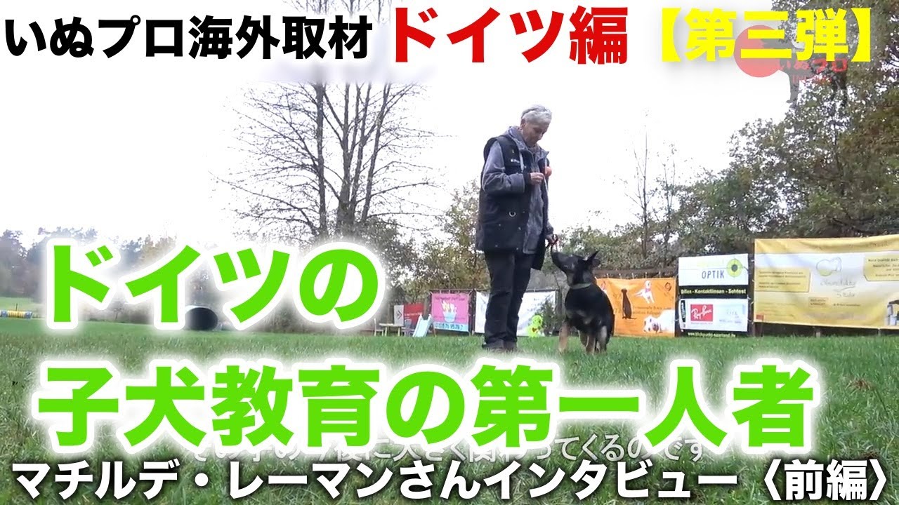 いぬプロ海外取材　ドイツ編【第三弾】ドイツの子犬教育の第一人者　マチルデ・レーマンさんインタビュー〈前編〉  PSDドッグサポートセンター いぬプロ inupro 犬のトレーニング 犬の教育　しつけ