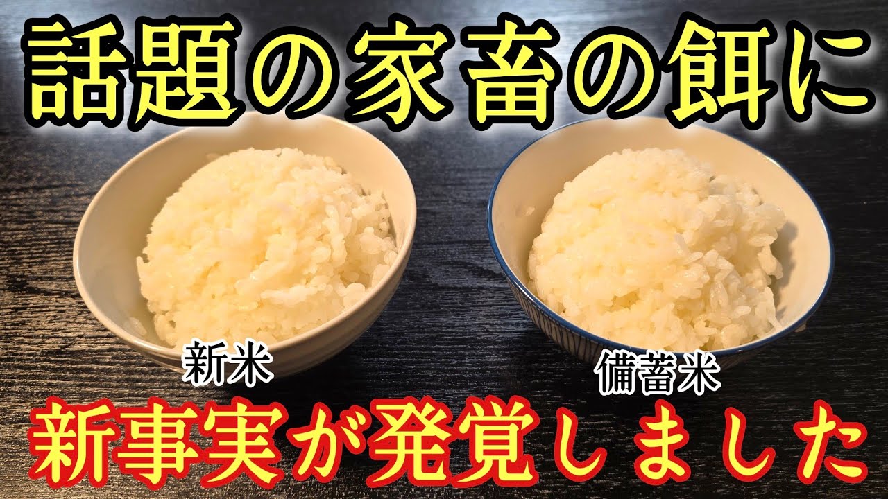 話題の備蓄米に新事実が発覚しました