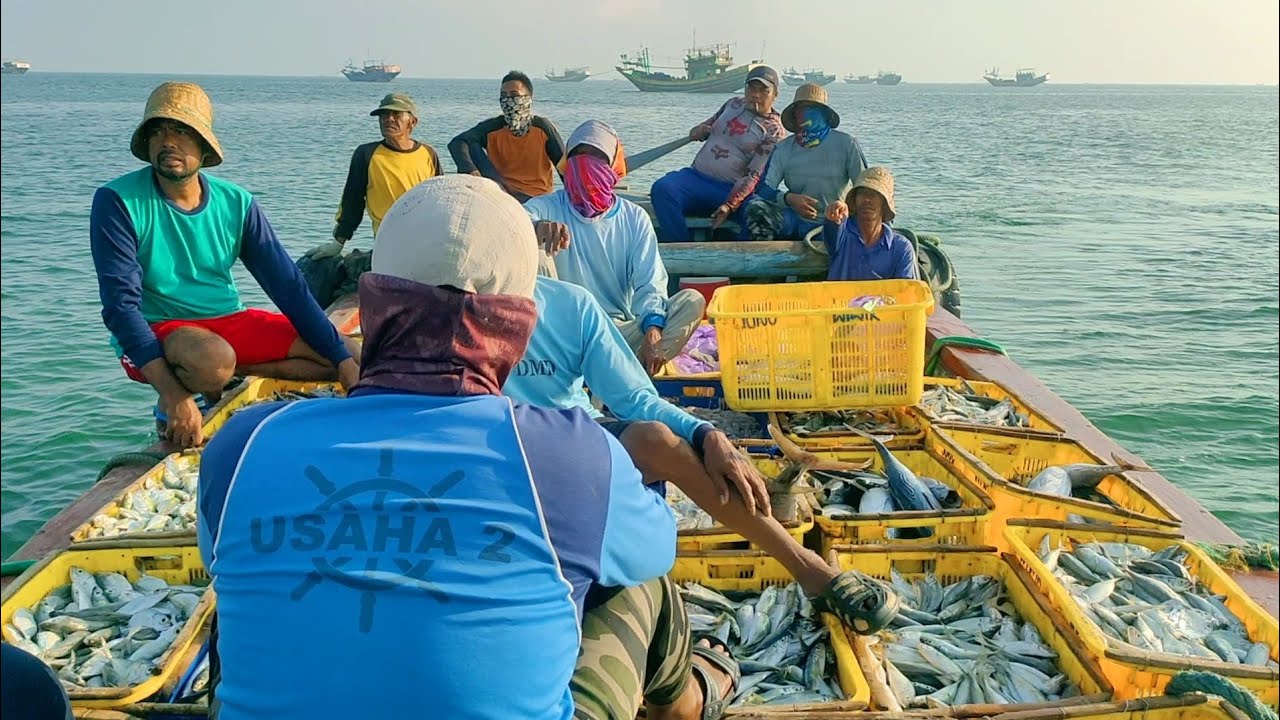 Vlog Nelayan Bongkar Ikan Tangkapan 4 Malam - Nelayan Story