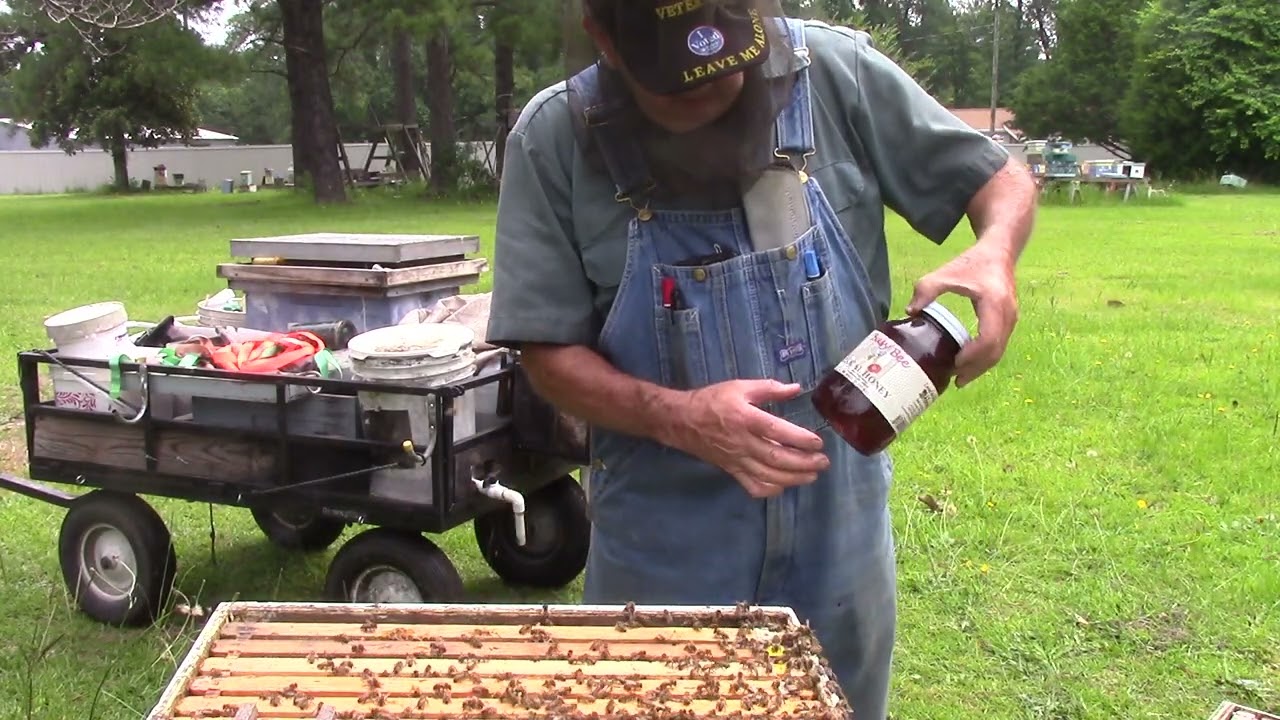 MVI 1518 / Feeding honey back to the bees,  make Ross Rounds &  keep the honey pure