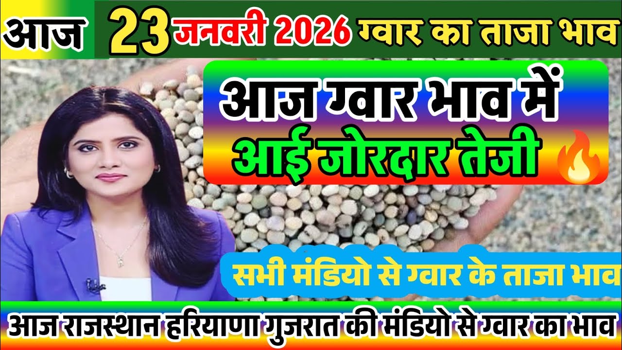 ग्वार का ताजा भाव| 23 जनवरी 2026 आज ग्वार के भाव में आई जोरदार तेजी| Gwar ka bhav, gwar rate today,