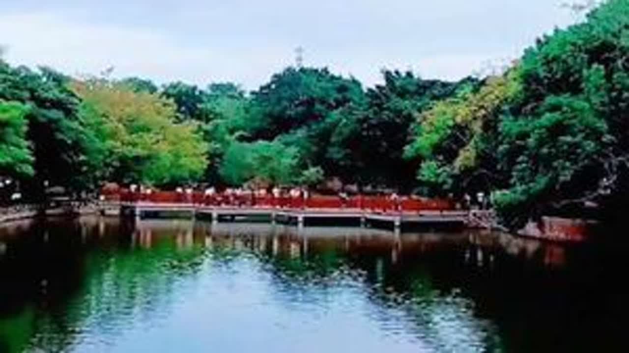 #原创视频 #城市一角 #亭台楼阁 #风景如画的地方