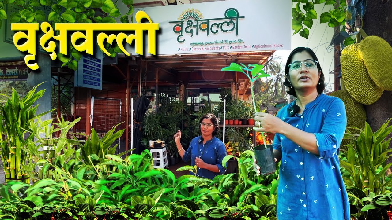 रत्नागिरीतील 