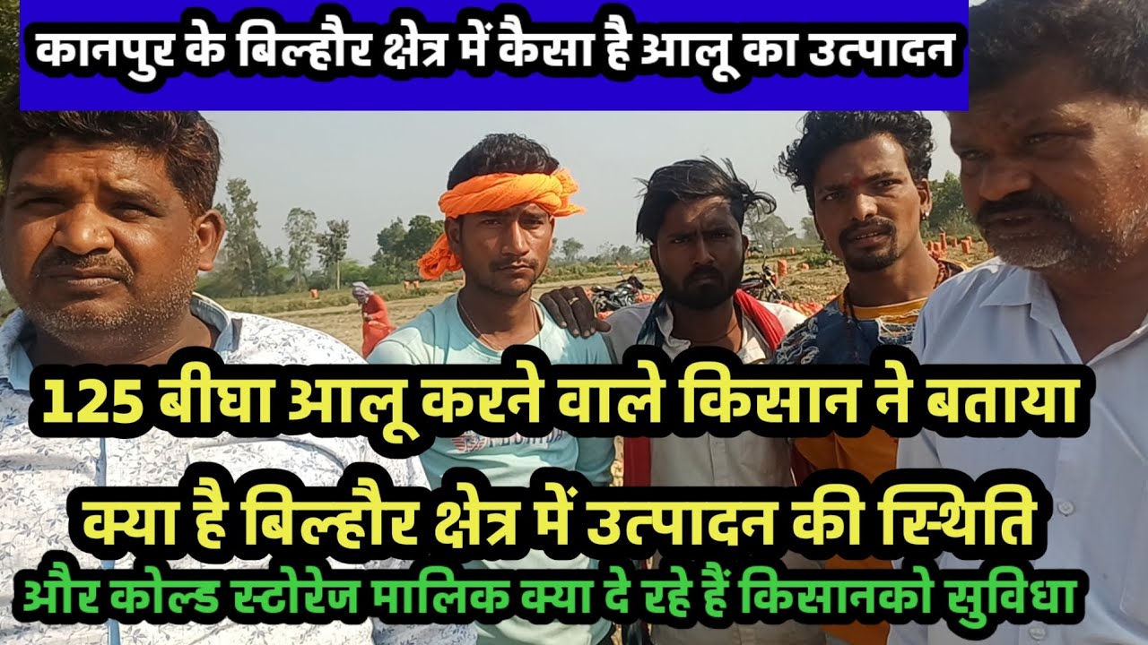 देखिए कैसा है कानपुर क्षेत्र के बिल्हौर क्षेत्र में आलू का उत्पादन 