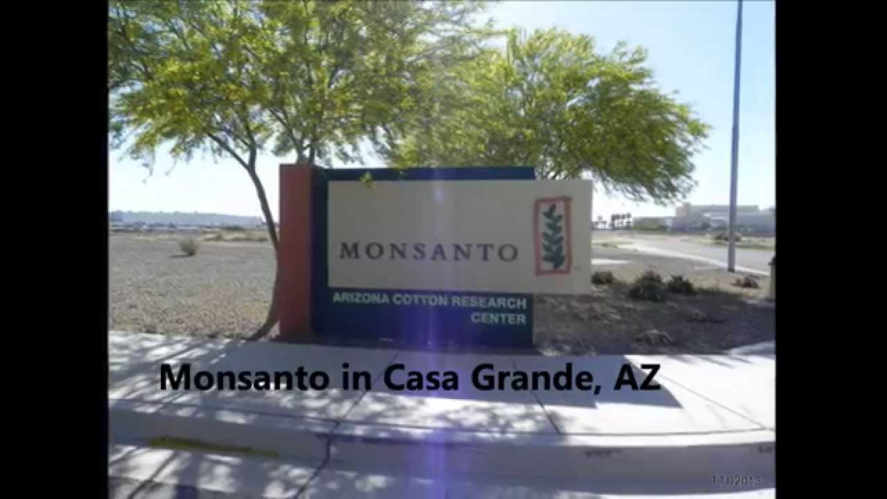 MONSANTO's Government Ties LIST & More
