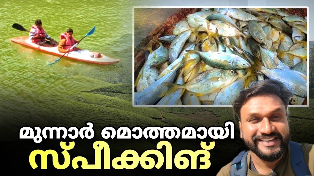 ആരും കാണാത്ത മൂന്നാർ..!! tourist places in munnar