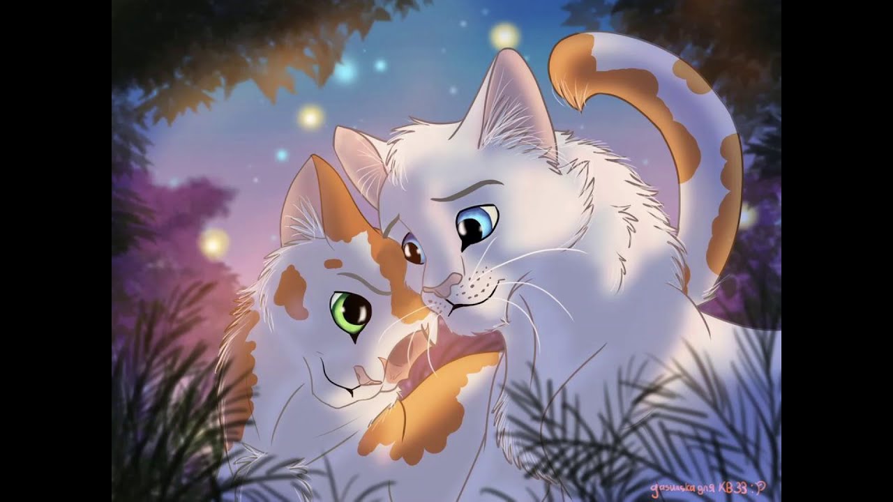 Meine Lieblings Beziehungen aus Warrior Cats