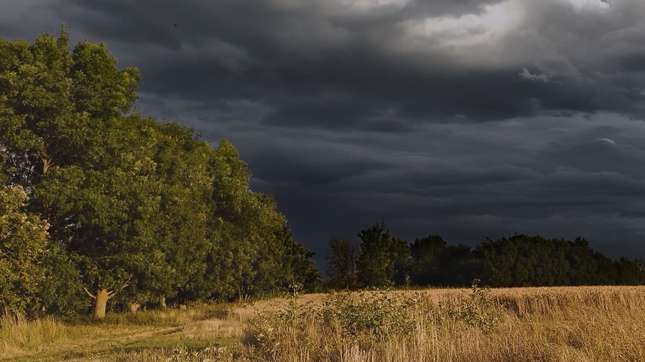 Distant Thunderstorm during Summer Break | Countryside Field | Calm Before the Storm | 3 HOURS