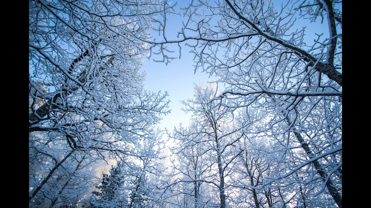 EESTI TALV | Beautiful winter wonderland in Estonia
