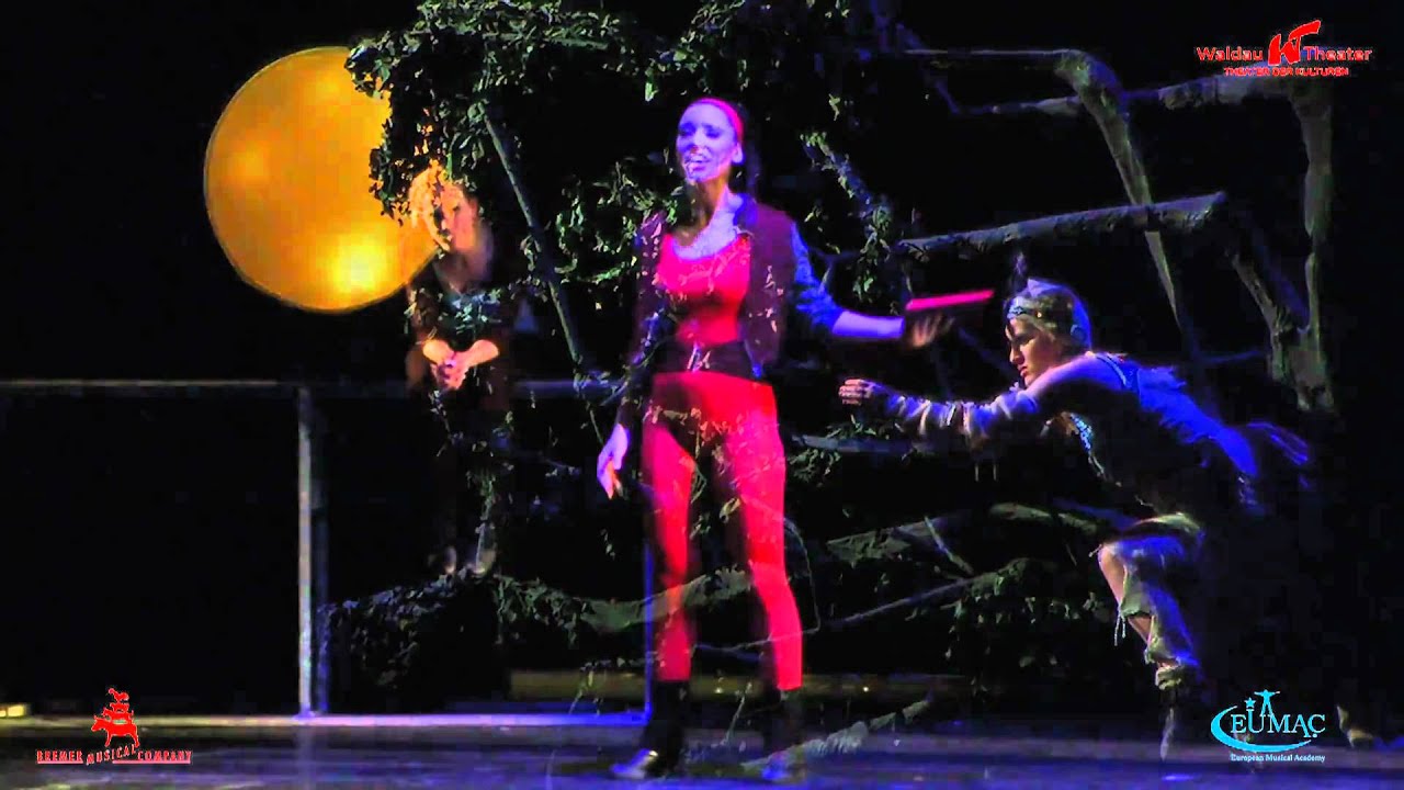 Musical - Tr&auml;ume