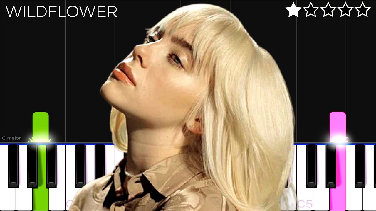Billie Eilish - WILDFLOWER | EASY Piano Tutorial