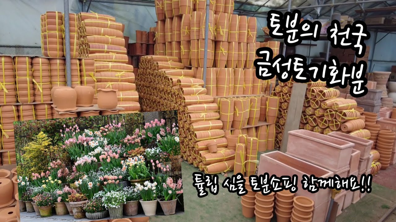 초보가드너의 첫 토분 쇼핑 | 금성토기화분 | 튤립용 토분 쇼핑 | 토분언박싱