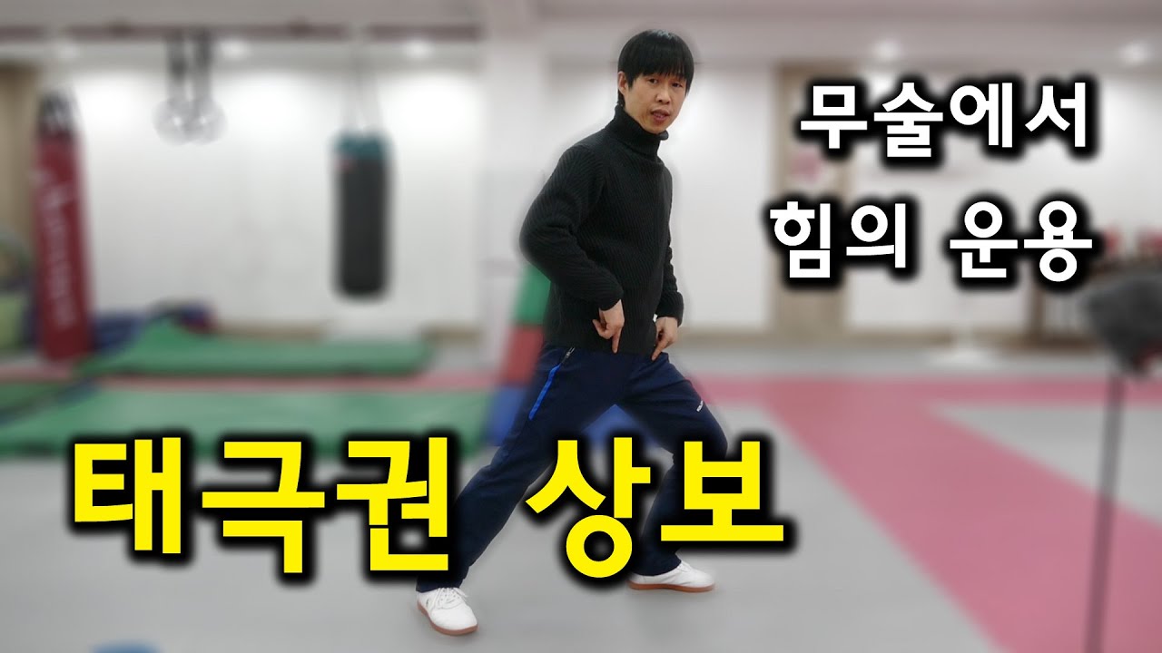 태극권 상보