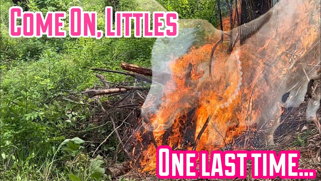 Cremation Ceremony of our beloved Pebbles