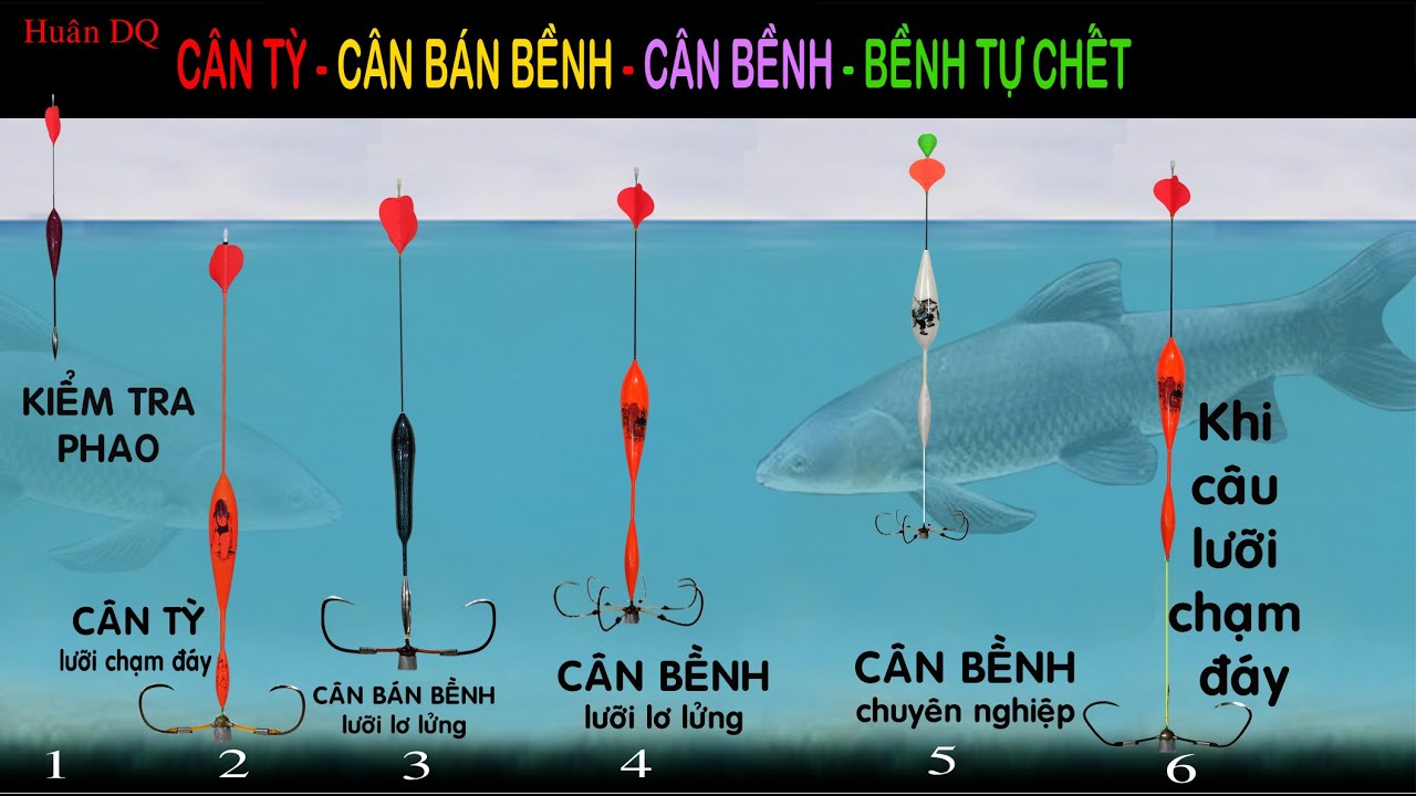 Cân phao câu tì, câu bán bềnh, câu bềnh trong câu lục. dây là video cân phao và lưỡi thực tế.