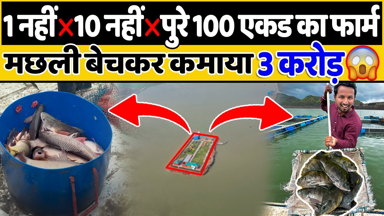 Fish Farming से करोड़ों का Empire 🏞️💸 जानो कैसे शुरू करें Fish Farming | Indian Farmer