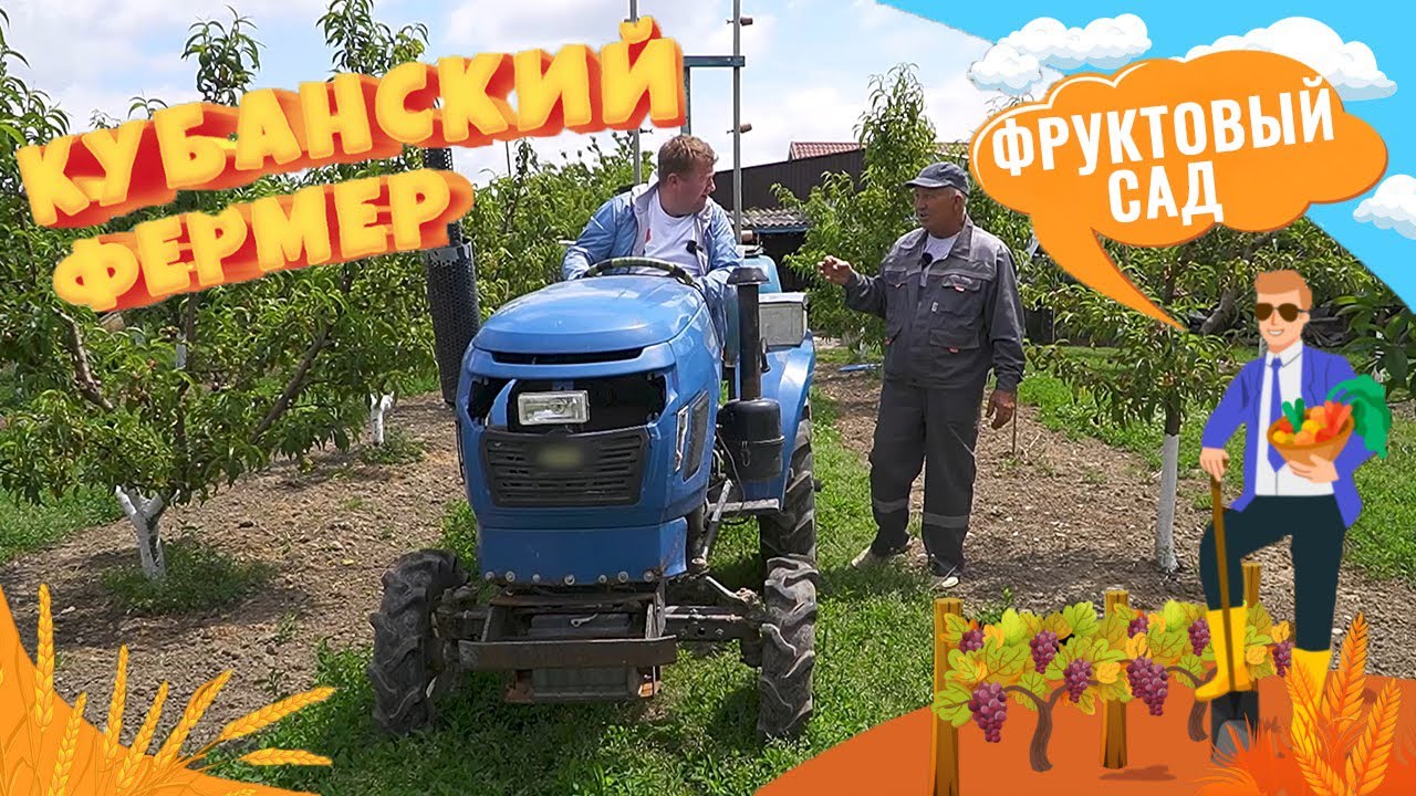 Как вырастить фруктовый сад, где продавать продукцию в Краснодарском крае? Сельский бизнес на Кубани