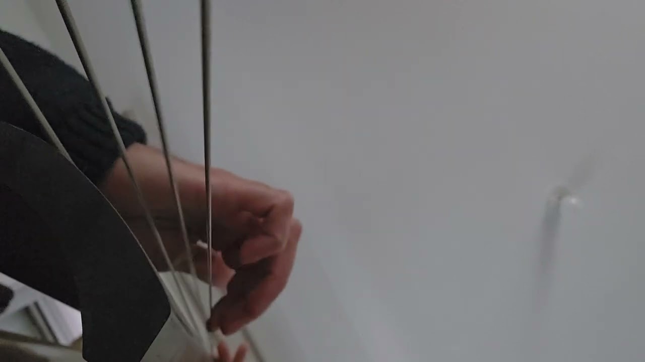 Musician like birds, NOT LIKE #messiaen           ((( @-_-4921 )))