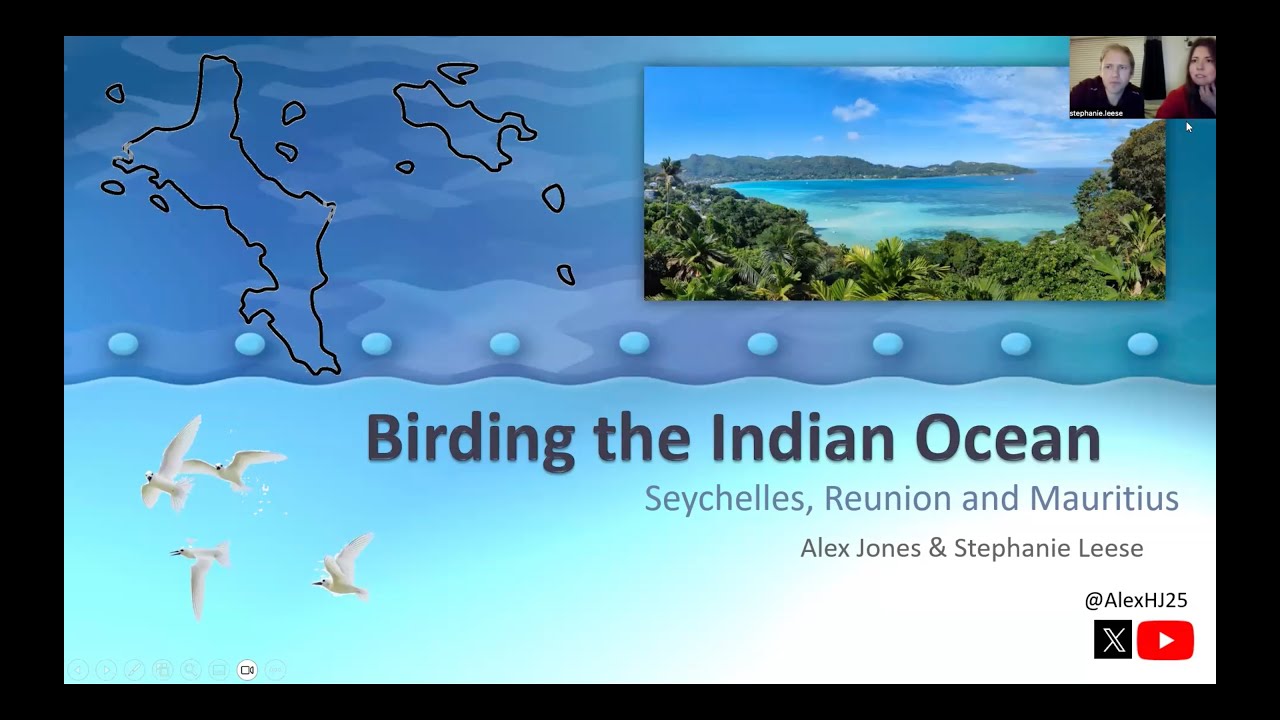 Birding the Indian Ocean: Seychelles, Reunion and Mauritius with Alex Jones and Steff Leese