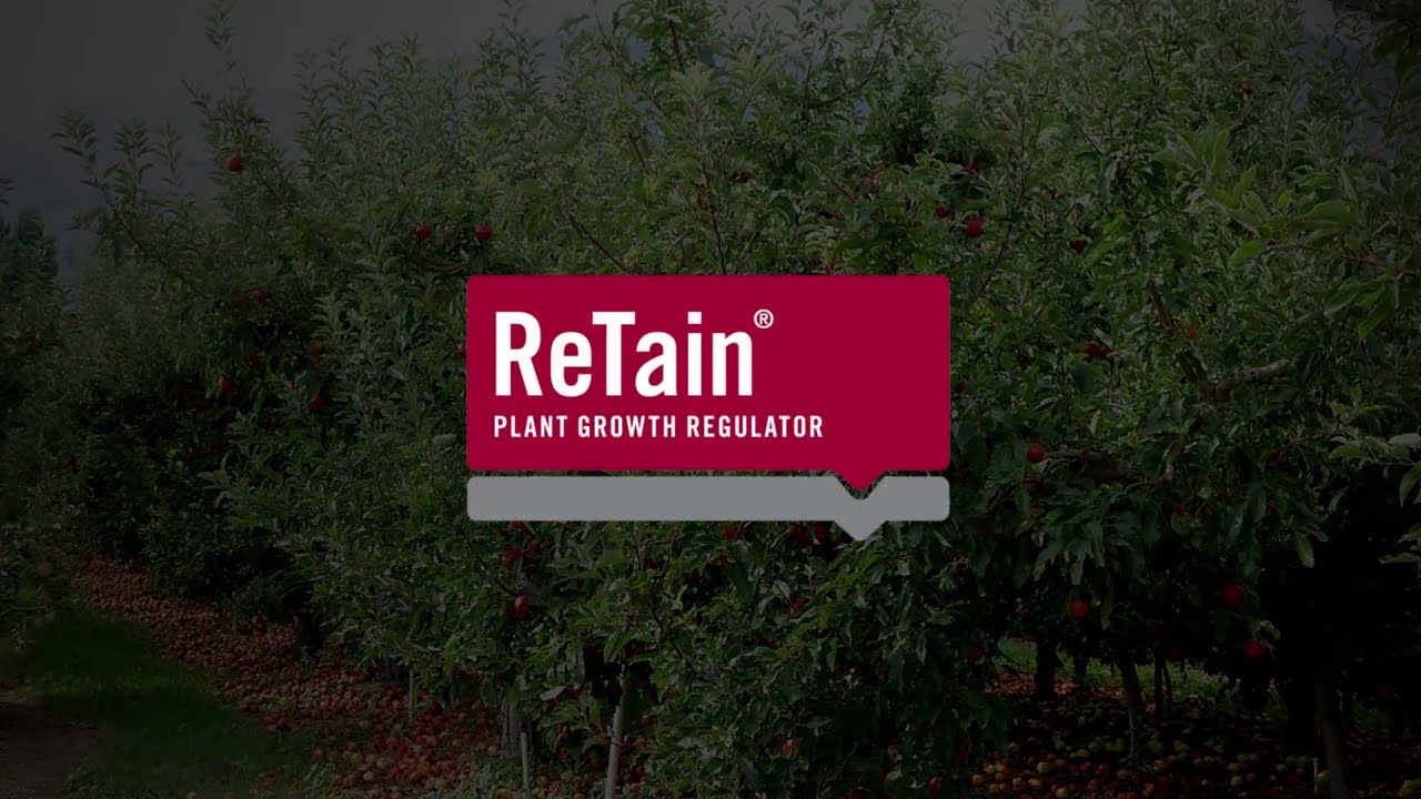 The Benefits of ReTain on Apples