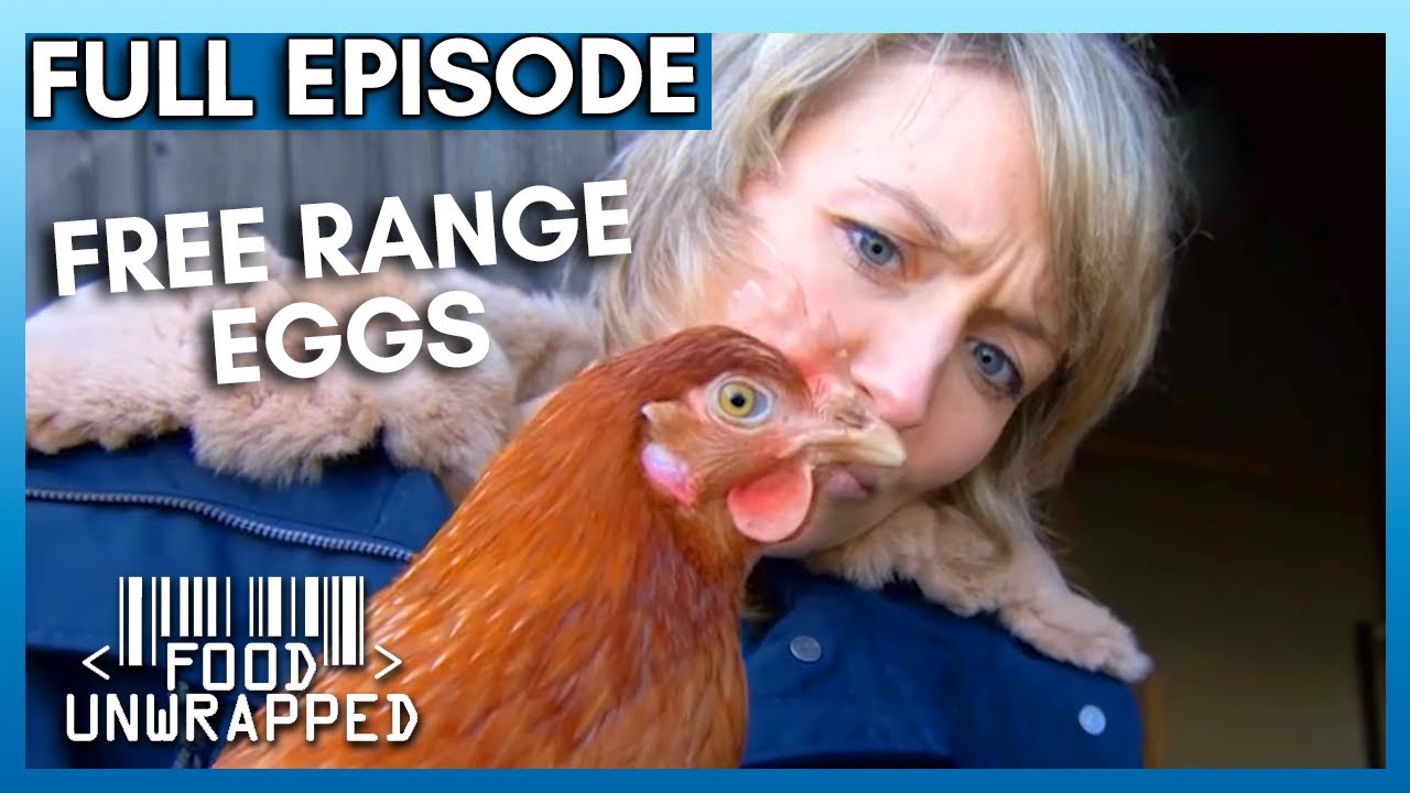 Вся правда о яйцах от кур свободного выгула 🥚 | Food Unwrapped, 5 сезон, 10 серия | Полный эпизод