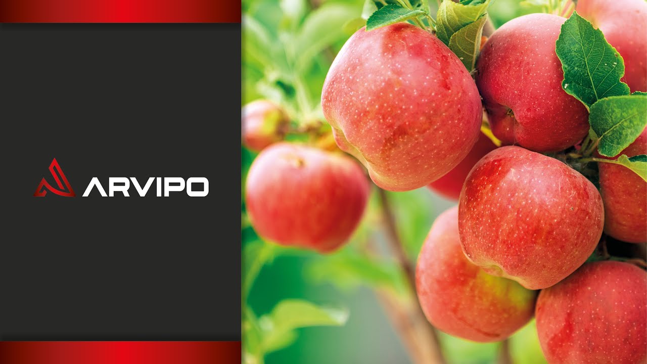 ARVIPO · EQUIPOS DE PODA PROFESIONALES