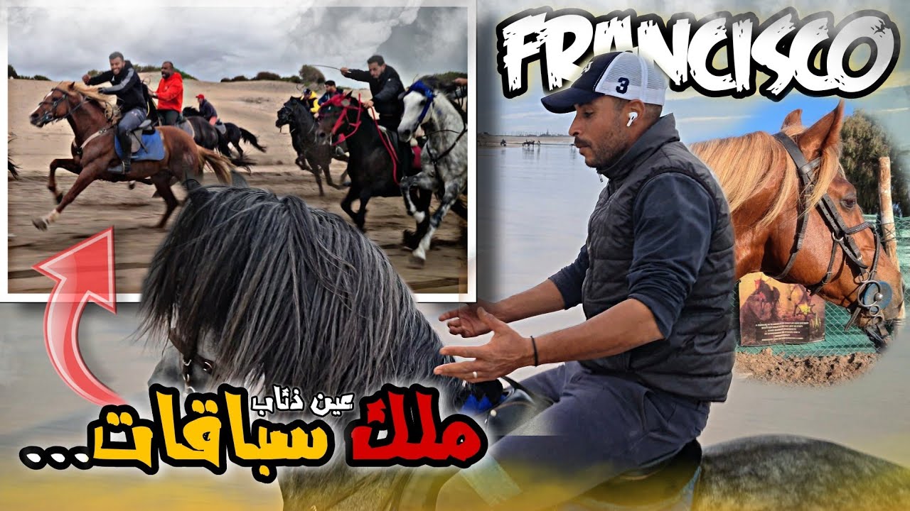أحسن جولة بالخيول بشاطئ عين ذياب شوفوا سرعة ديال Francisco 😱 طاح لنا هاتف في بحر شوفوا كواليس ...