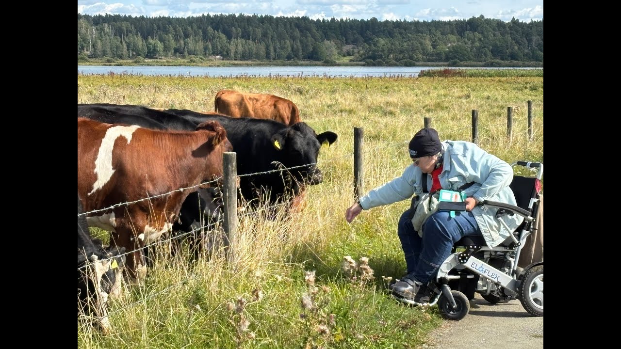 Natur på elmoppe – Katarinas väg tillbaka till blommor och dofter