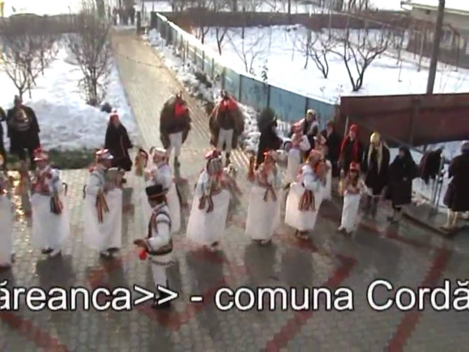 Capra si caiuti