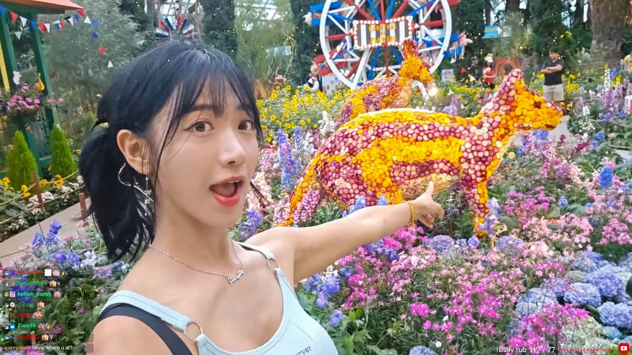 exploringggg 🇸🇬  omg I'm alive 2024 11 17