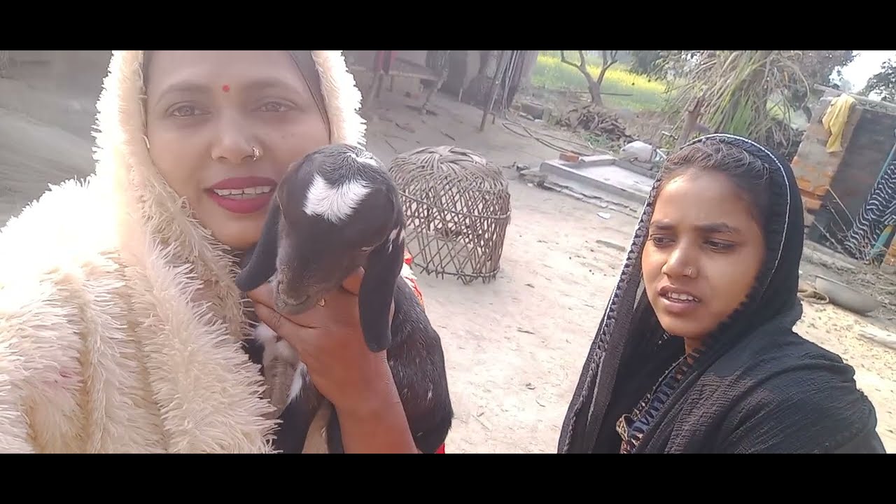 Sonica ka pyara sab log video ek bar dekhiae jarur