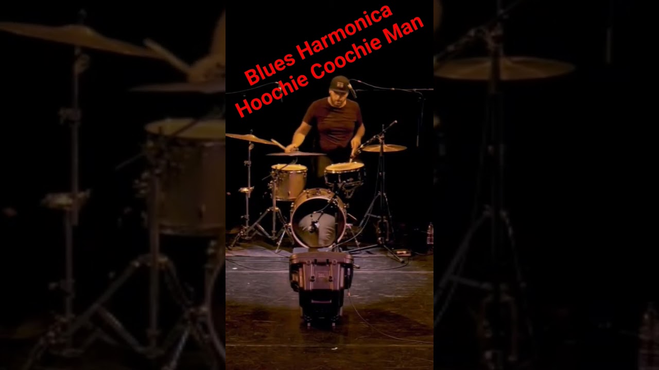 #bluesharmonica #blues #abdibehravanfar #shorts ##عبدی_بهروانفر #bluesharp