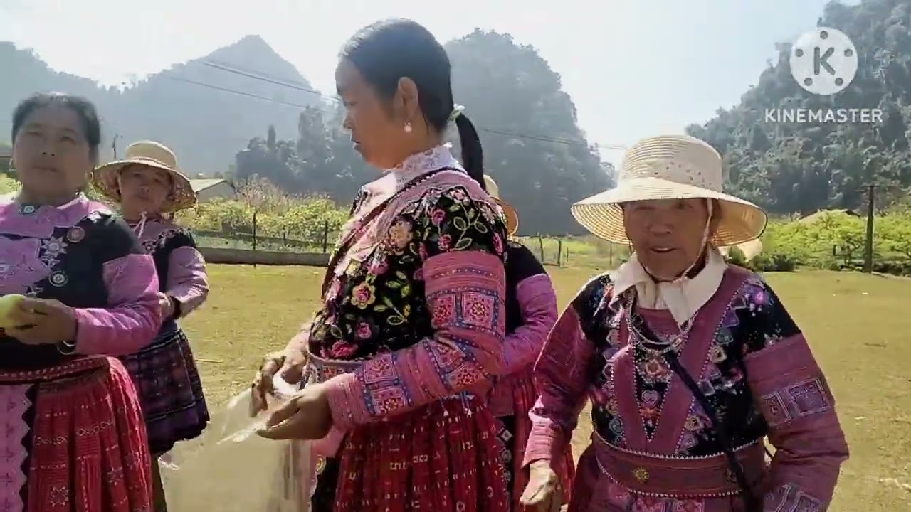 6 tháng 2, 2026