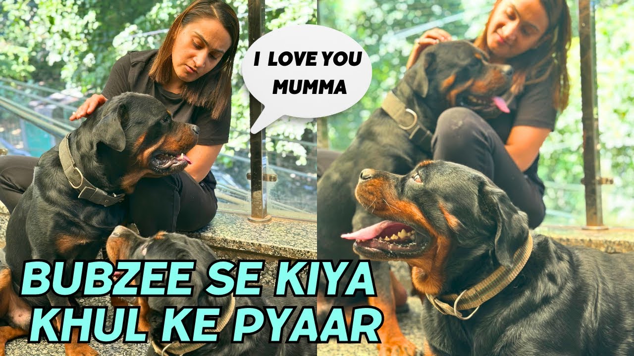 Bubzee Ko Aaj Khul Ke Pyaar Kiya: Udaas Rottweiler Bubzee Khush Ho Gaya | Bubzee Loves Mumma