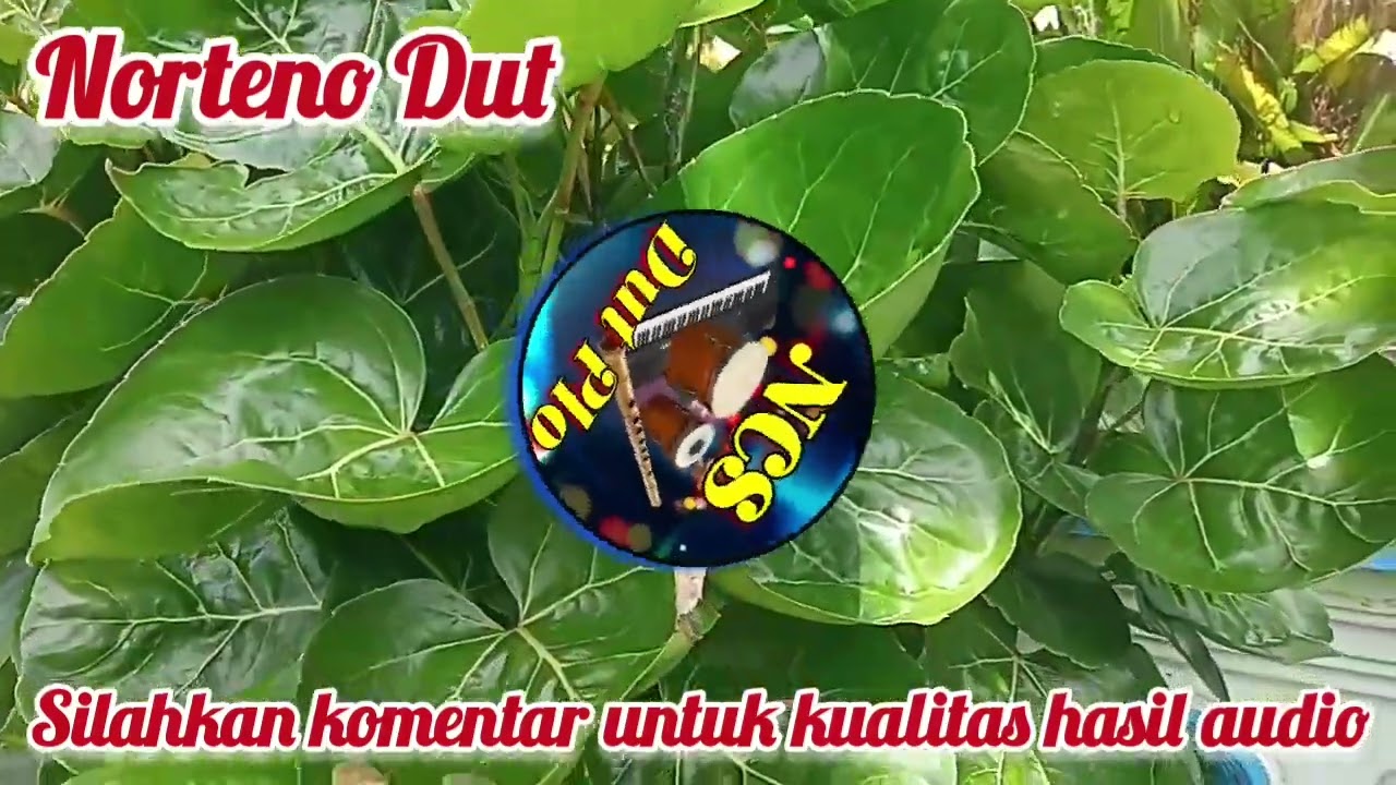 Norteno Dut // no copyright sound