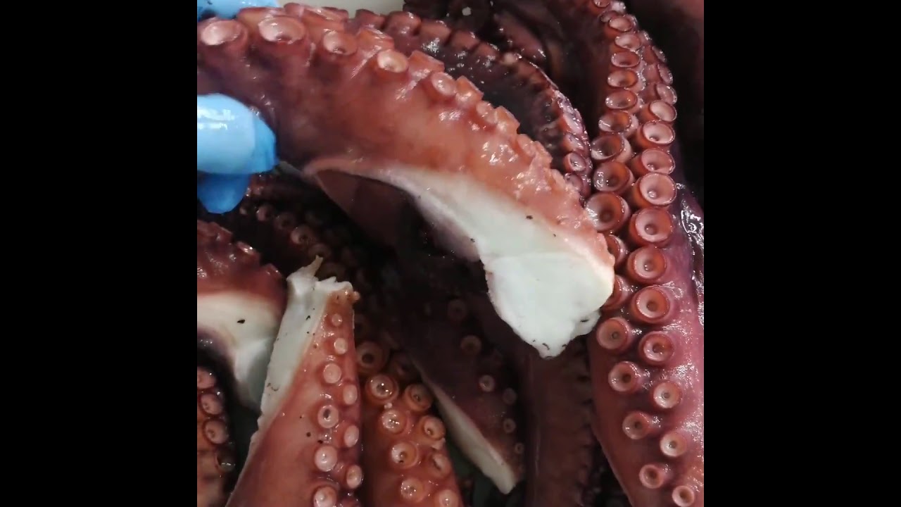 Marisco Caballero - El pulpo m&aacute;s rico de todos