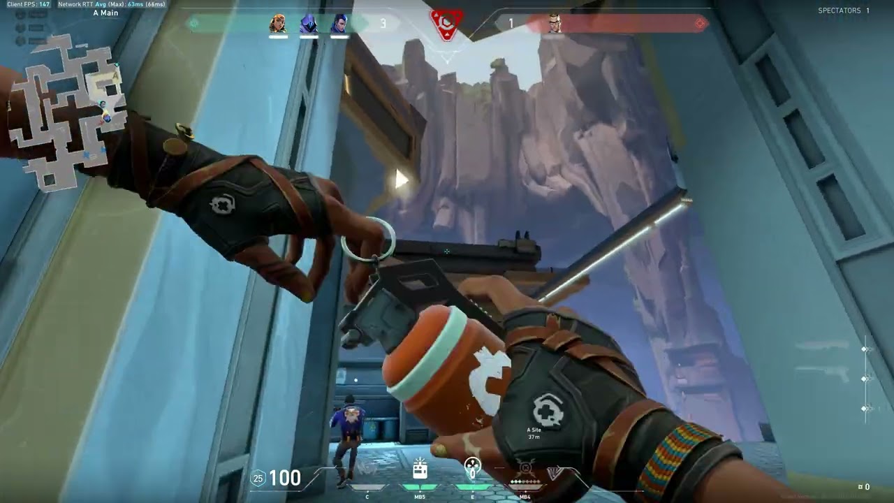 Valorant funny team satchel