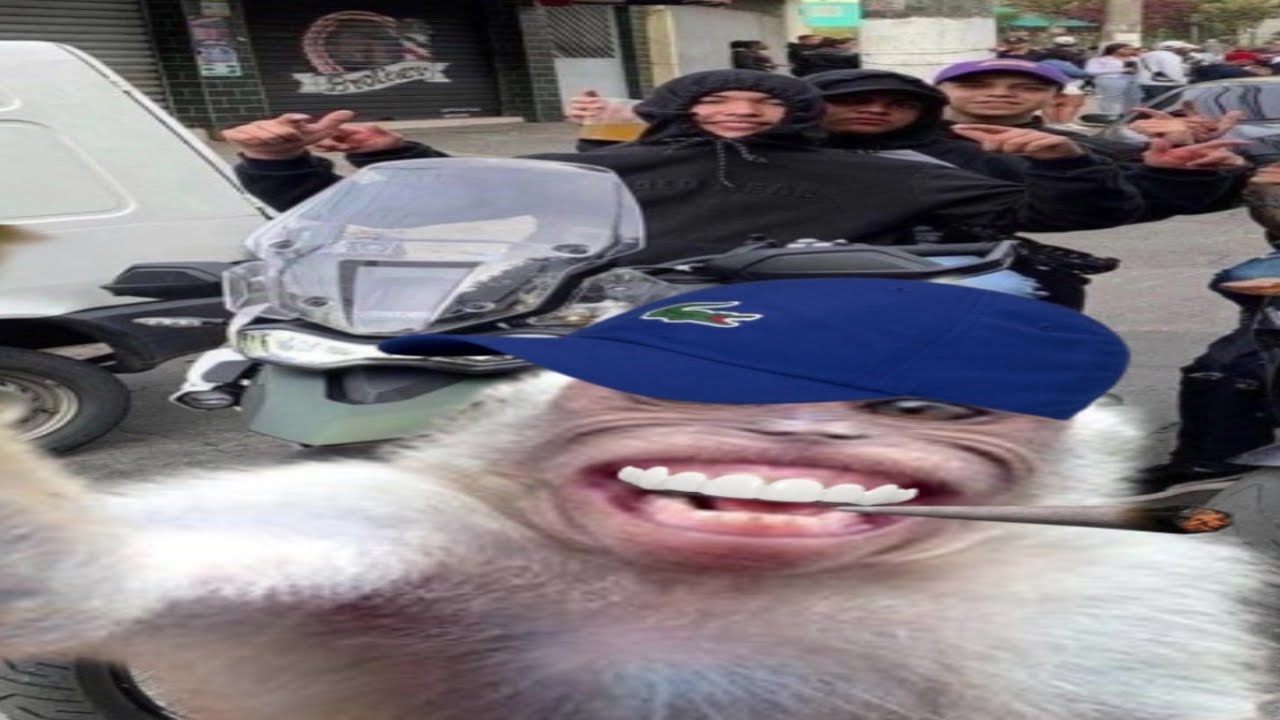 big:rp 😶‍🌫️