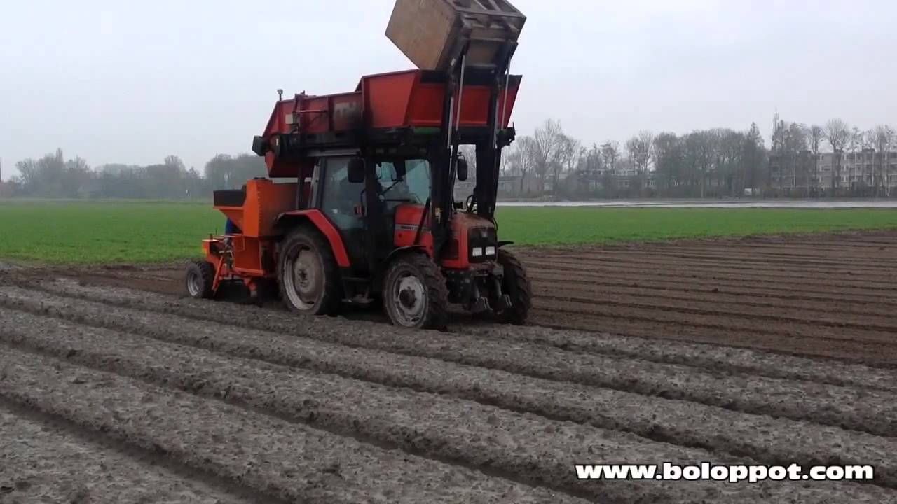 Tijd om tulpen te planten!