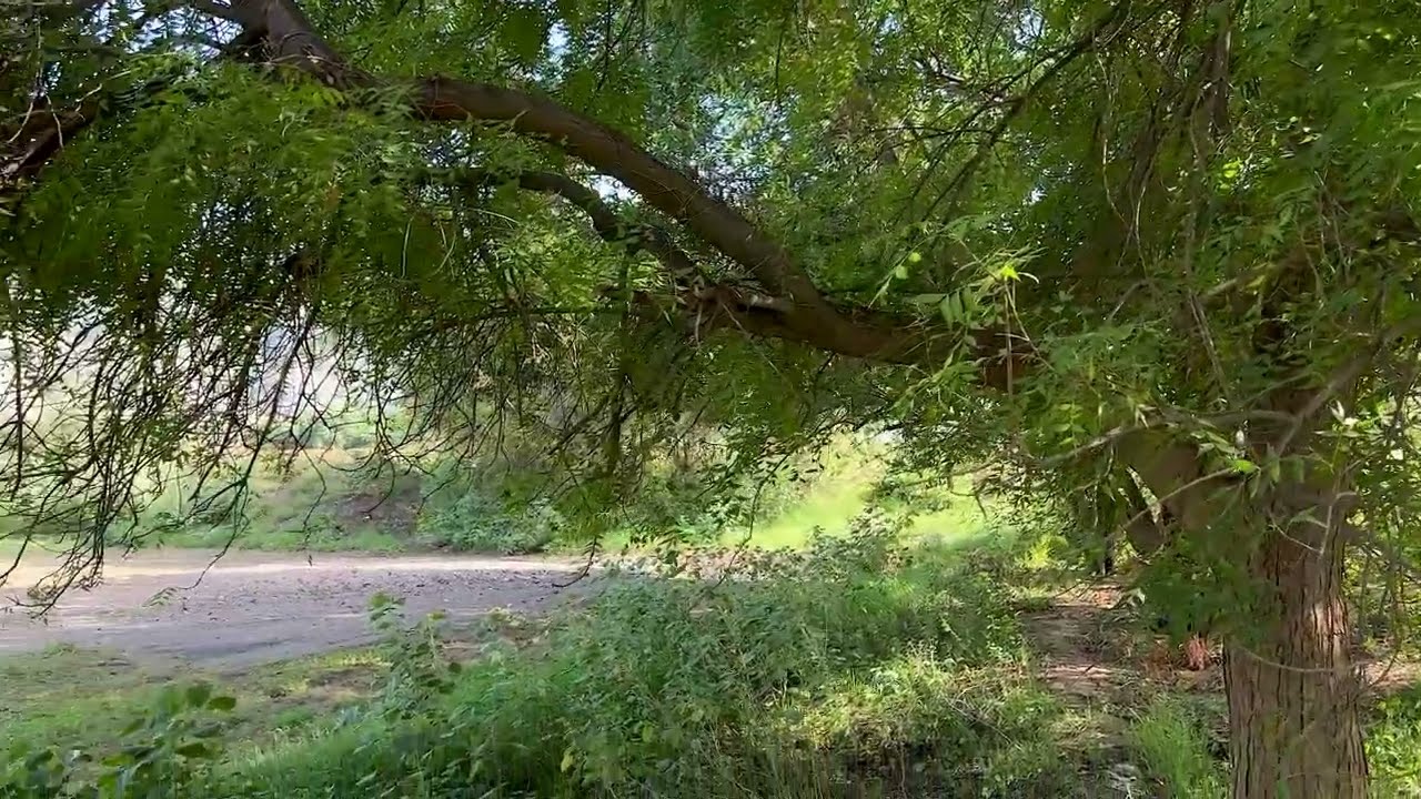 خطوة جنوبية مميزة | كلمات واداء : مفرح صمان وحسين صمان 🎤